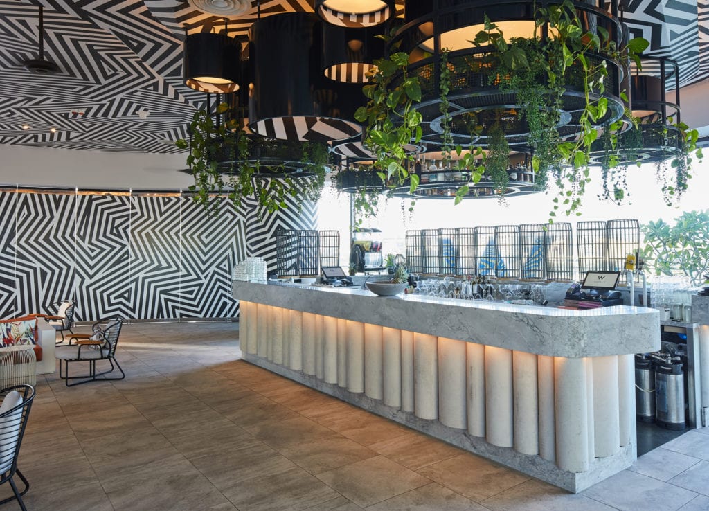 A professional photograph of W Hotel Brisbane's bar, with trailing pothos hanging down from elevated shelving.