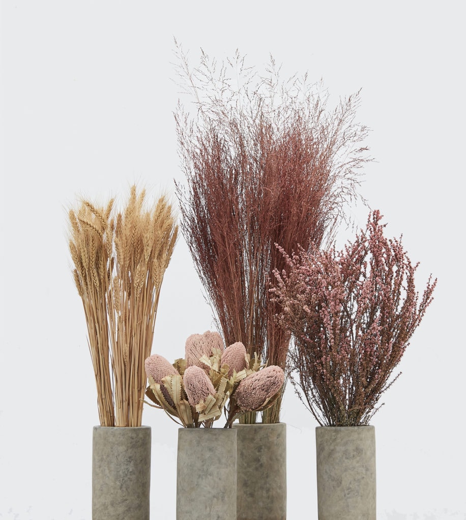 A close up of four dried flowers in potted floor plants, representing our preserved flower services.