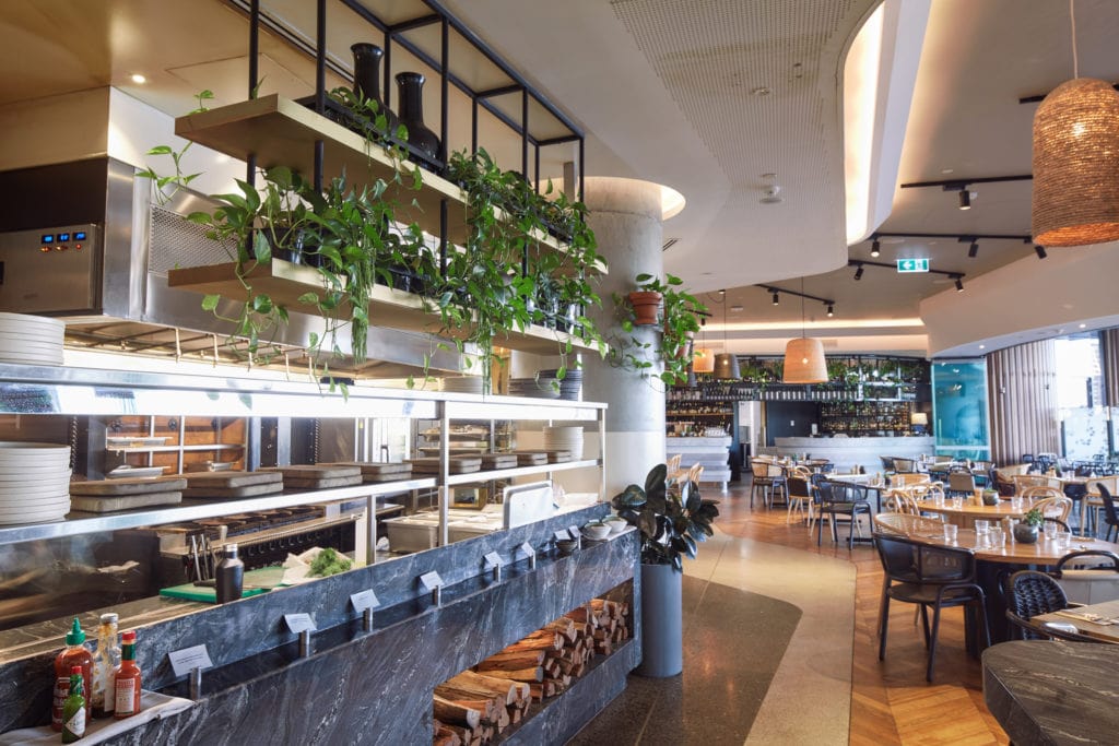Indoor plants at W Brisbane Hotel