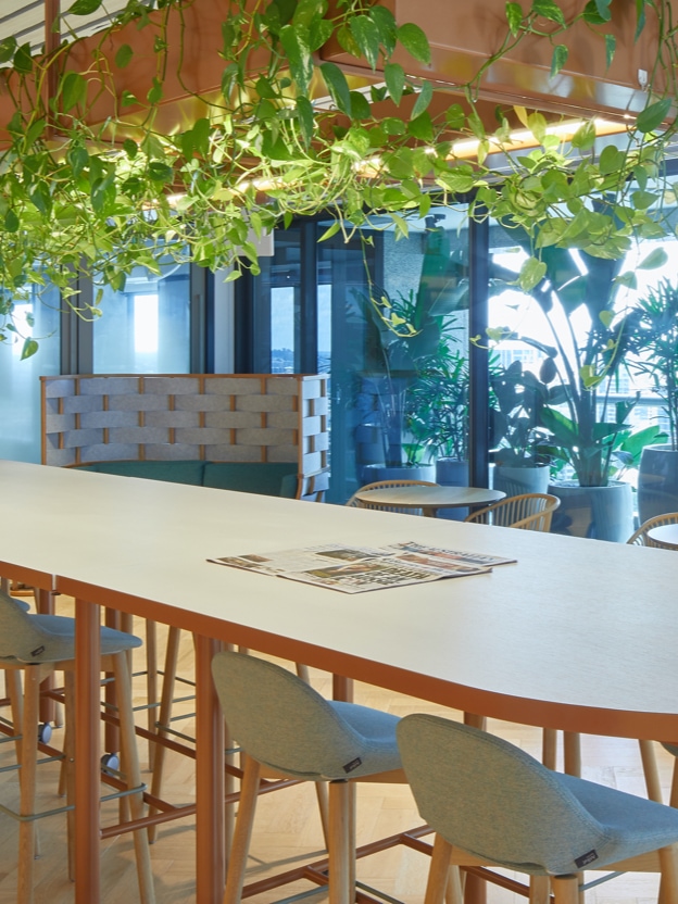 Professional photography of Deloitte Brisbane's staff kitchen, with trailing Pothos hanging from the kitchen table lighting fixture.