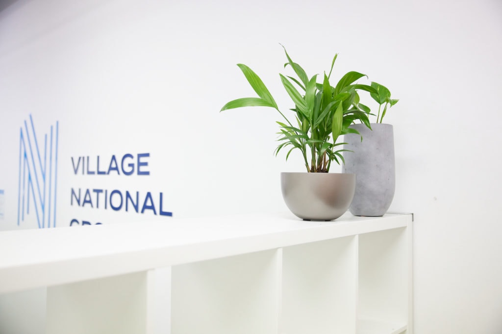 Two stylised indoor plants on top of cube shelving at Village National OICS in Woolloongabba Brisbane.