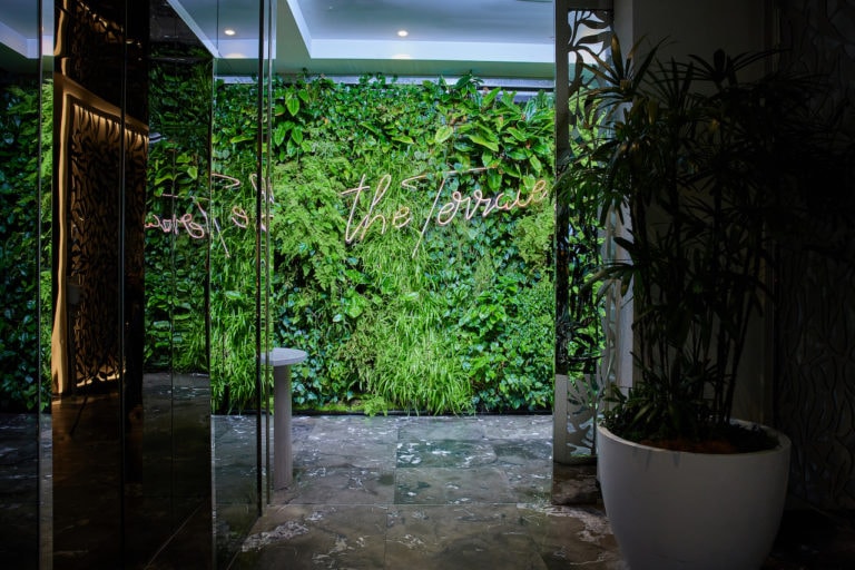 The striking entrance to The Terrace rooftop bar at Emporium South Bank Brisbane, featuring a green wall with their branding in neon lights. Maintained by Advance Plants