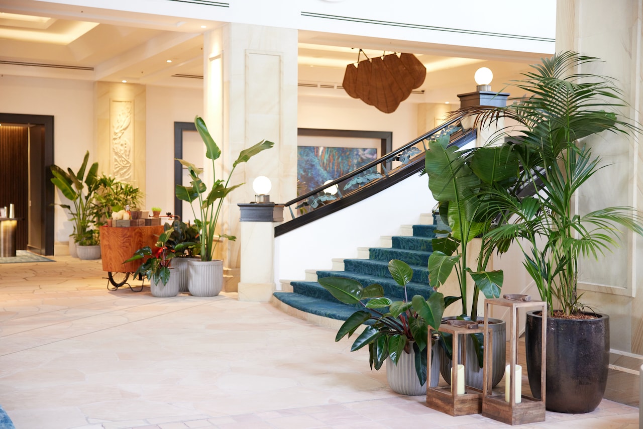 Numerous stylised floor plants framing the grand staircase of the newly renovated JW Marriott Gold Coast Resort and Spa.