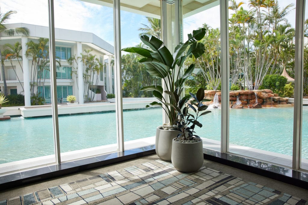 Two floor plants next to a window of the pool and outdoor areas at Sheraton Grand Mirage on the Gold Coast.