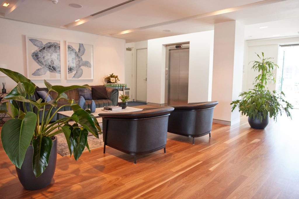 The foyer of Crest Advisors at 4 Miami Key, Broadbeach Waters with two stylised floor plants.