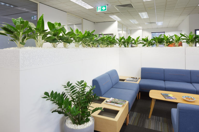 A professional photograph of a corporate office break room with plants in a section divider.