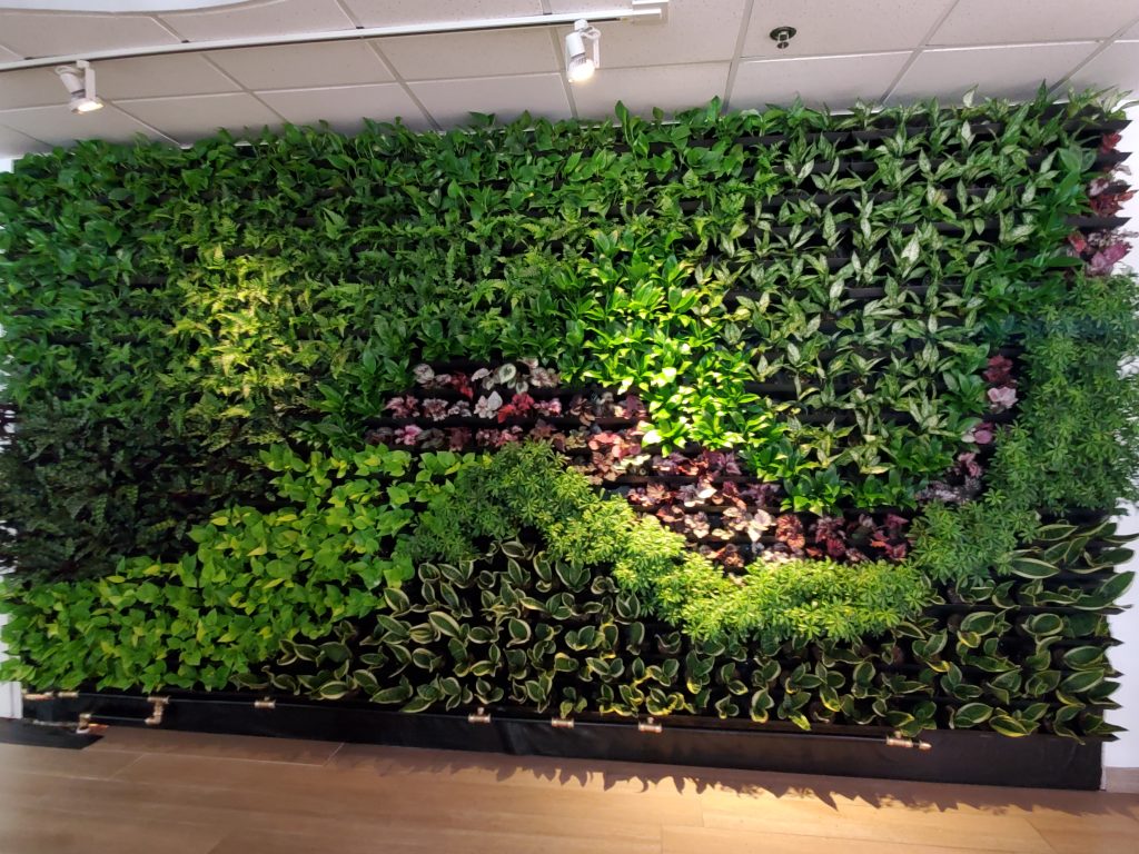Living green walls design