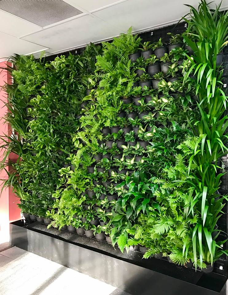 Living green walls design