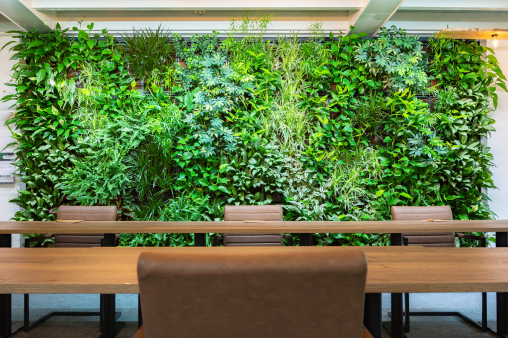 Green wall in meeting room