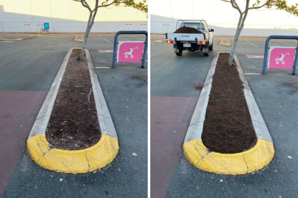 Mulching before and after