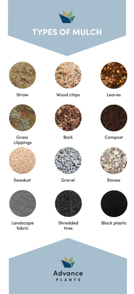 Different types of mulch