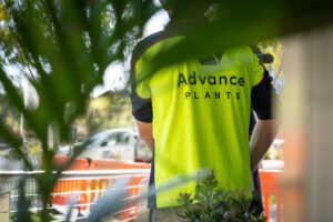 Robina Town Centre install