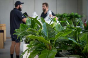 Go1 installation two men talking