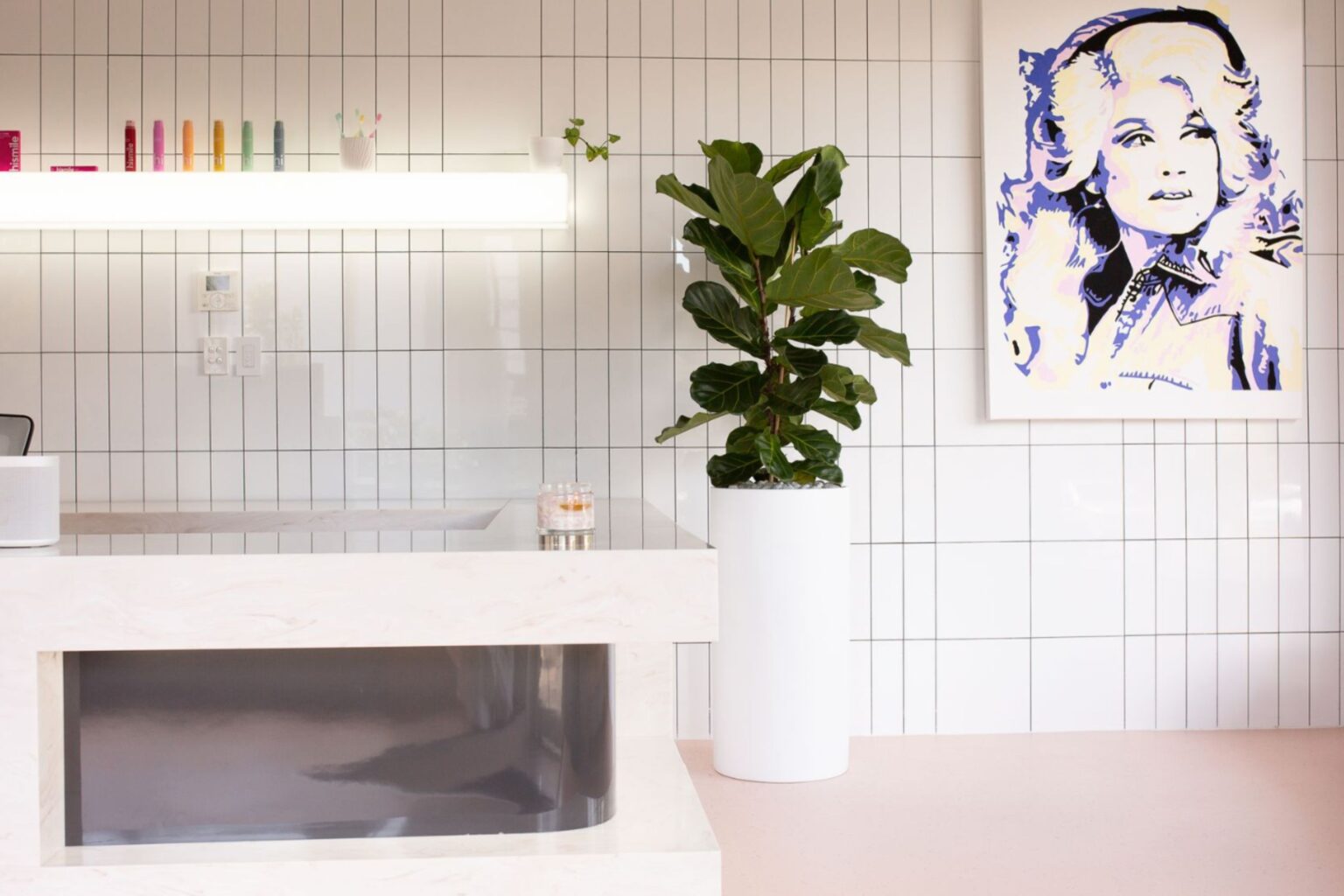 A fiddle leaf fig in a matte white pot beside the reception desk at Teneriffe Dental, Brisbane