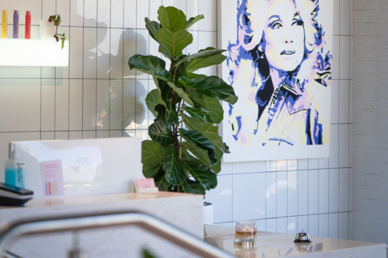 A fiddle leaf fig beside the basin and mirror at Teneriffe Dental, interior plant hire Brisbane