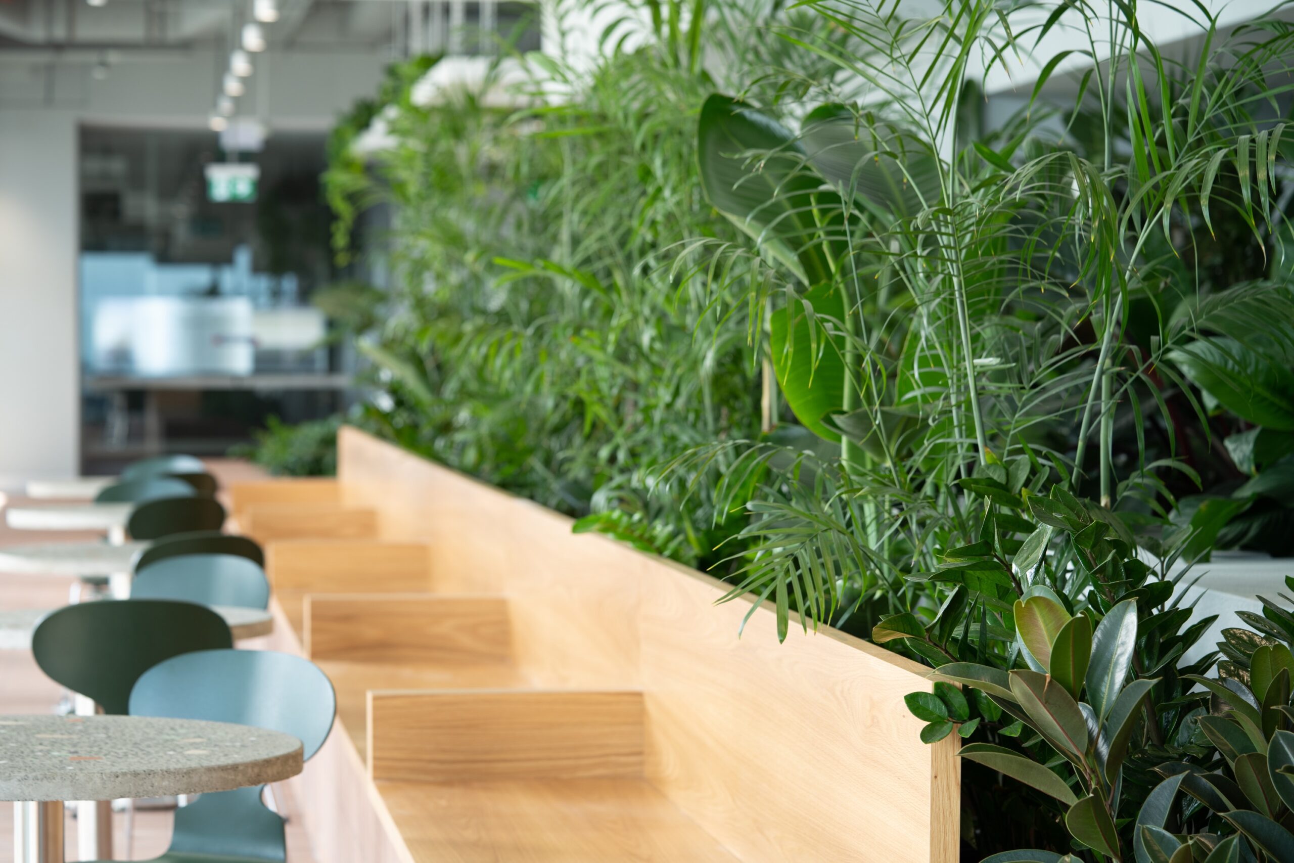 Biophilic design for Brisbane city office