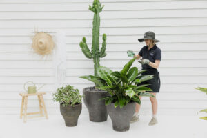 Short term event plant hire