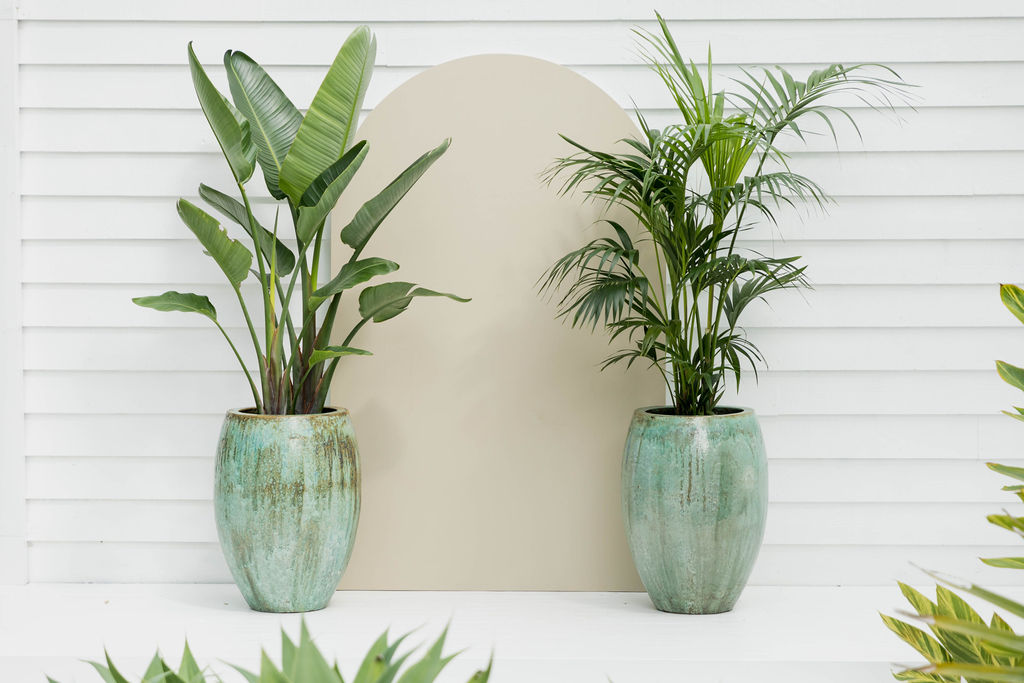 Outdoor plant styling