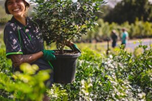 Lake Devon Nursery (Upper Coomera)