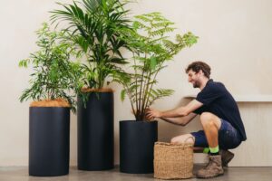 An Advance Plants technician servicing natives 2025