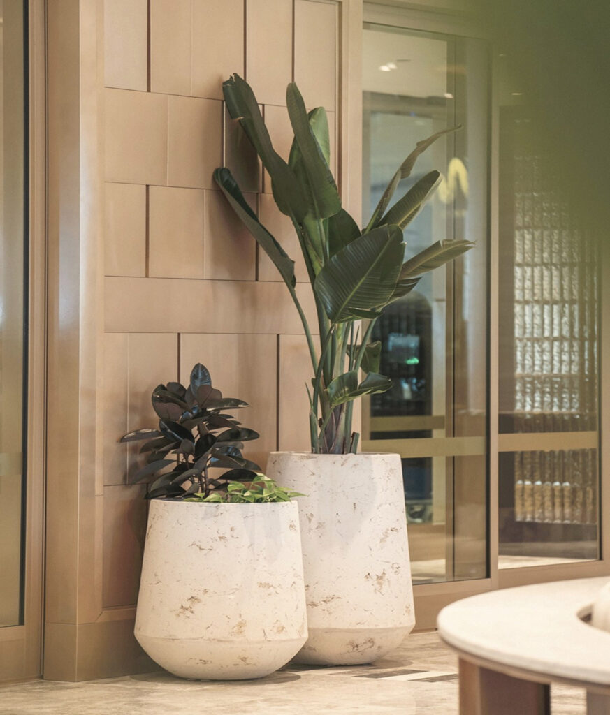 Considered plant installation in a commercial Brisbane lobby