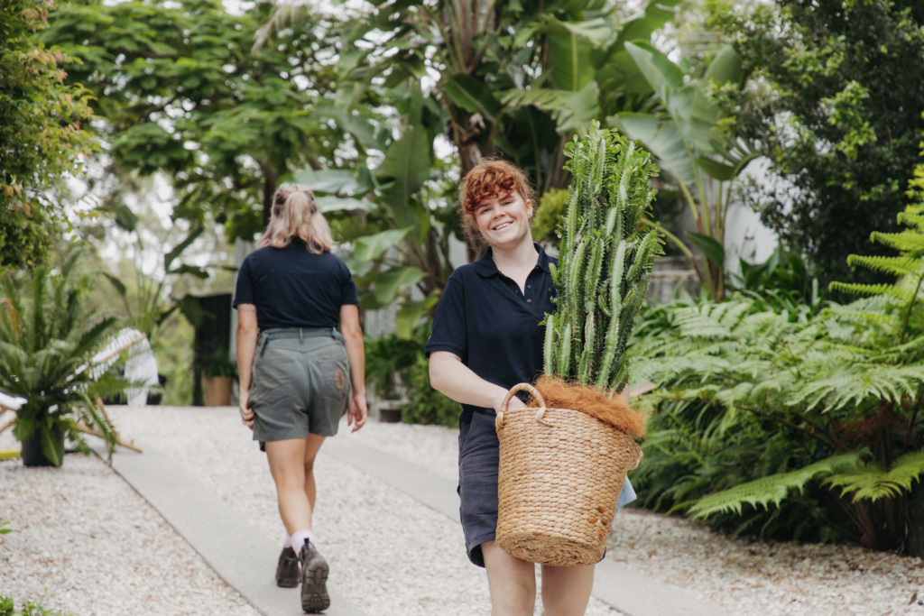 One of our team carrying a cactus to an event installation