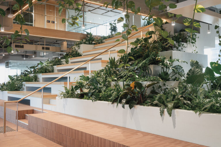 A recent interior plant hire fitout in Brisbane City building