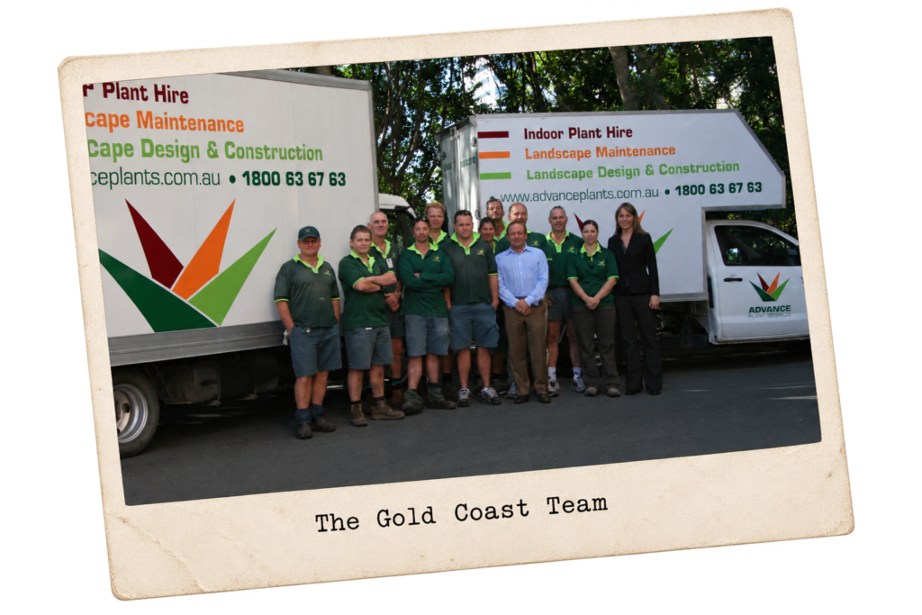 Advance Plants Gold Coast Team