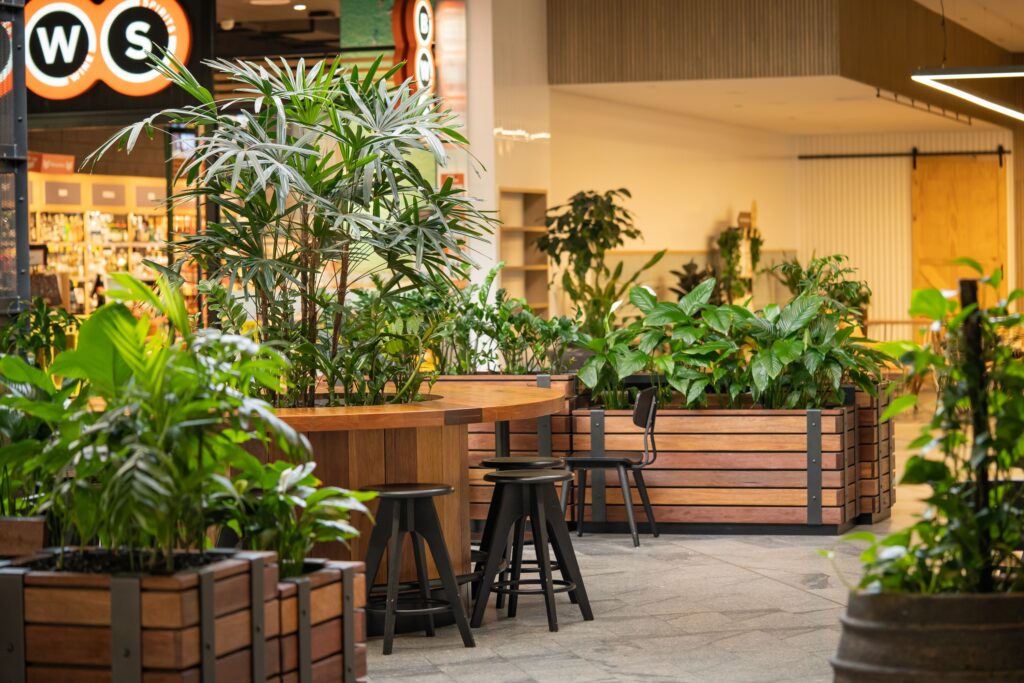 Indoor plant hire at Westfield Coomera on the Gold Coast, timber planter boxes around bar-height dining seating