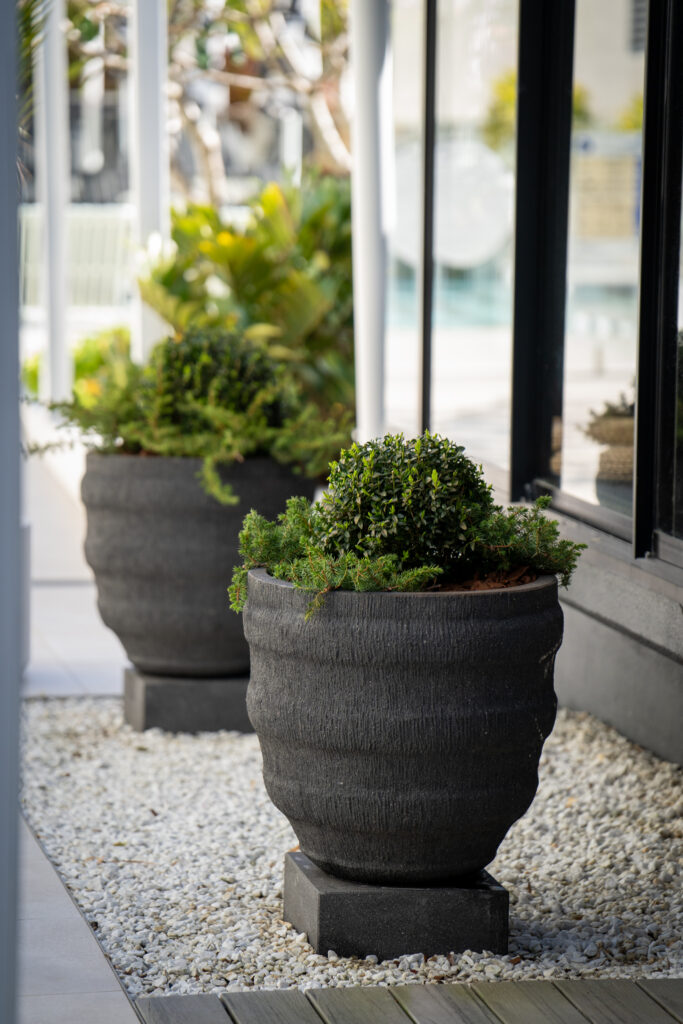 Clipped shrubs in dark textured pots on white pebbles outside the glazing at QT Gold Coast