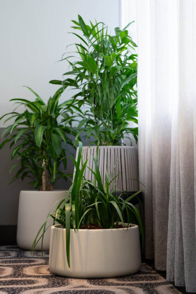 Bamboo palm in a tall ribbed pot beside a low bowl on patterned carpet at QT Gold Coast