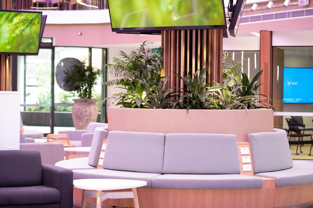Palms planted into the joinery around curved lounge seating at TAFE Queensland Robina campus