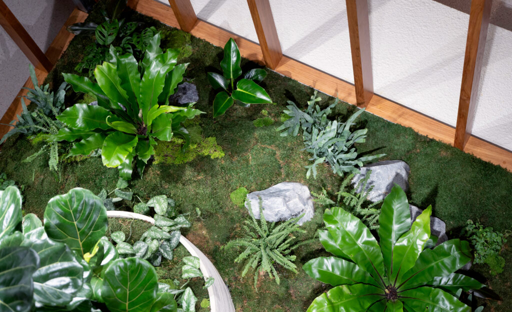 Overhead view of an indoor moss bed with bird&rsquo;s nest ferns, blue star ferns and feature rocks at GDM