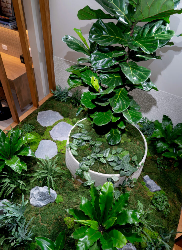 Overhead view of a fiddle leaf fig in a white bowl set into an indoor moss bed at GDM