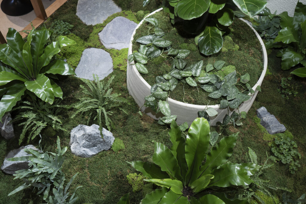 Close view of moss, ferns and a feature rock in an indoor garden bed at GDM