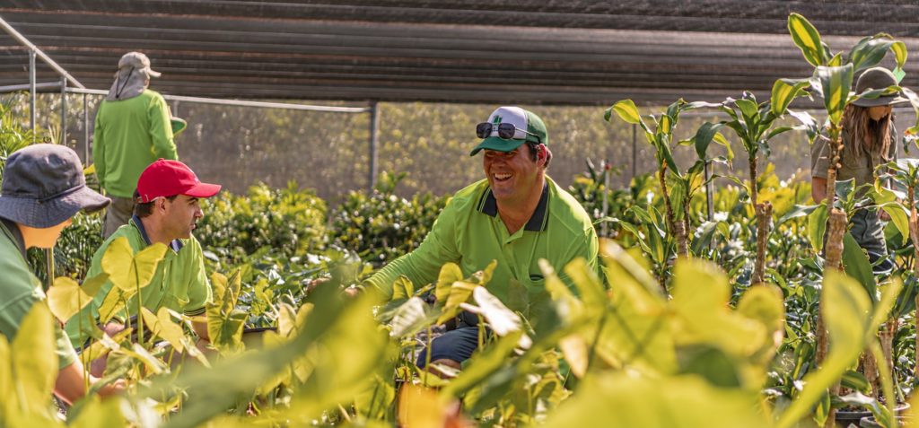 HELP Nursery, Mitchelton Queensland