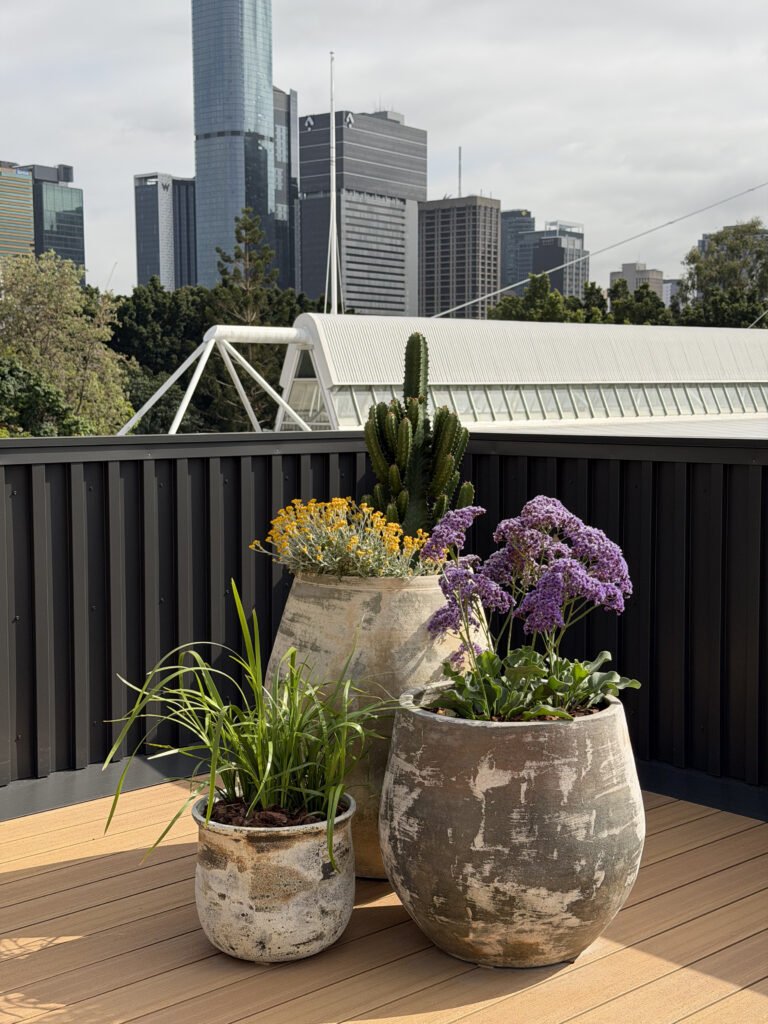 Planted rooftop pots with the Brisbane city skyline behind, rooftop terrace landscaping in South Brisbane